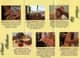 Slider image (8) Shanghai Medical Clinic Wellness Clinic for Chinese Medicine